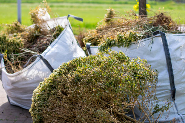 Best Attic Cleanout Services  in Upland, CA